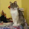 Отзыв от Нина Вавилова